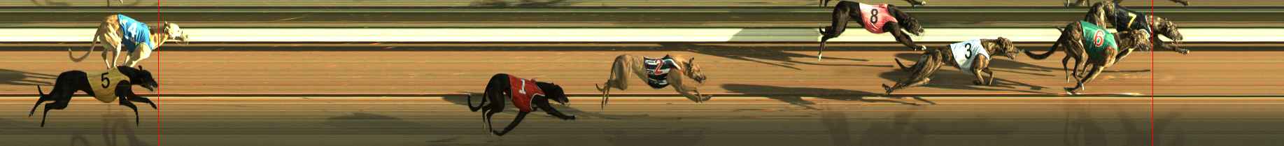 Race result finish photo